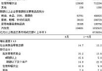[宁波]09年6月社会消费品零售总额