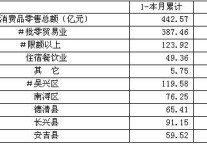 [湖州]09年12月社会消费品零售总额