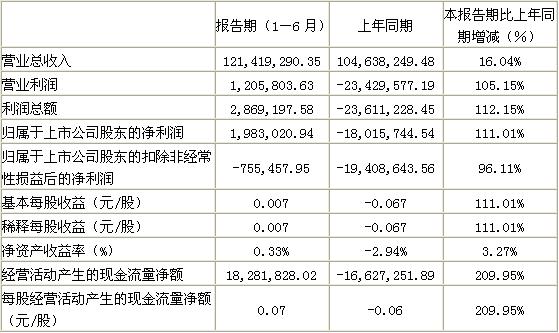 2010年上半年东方宾馆主要会计数据和财务指标