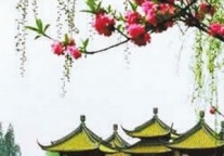 上海周边精华旅游线路推荐