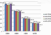 同程网09年“十一”黄金周出行报告