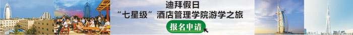 迪拜假日:“七星级”酒店管理学院游学之旅