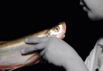 宁波香格里拉大酒店任命中餐行政总厨