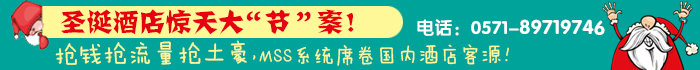 圣诞酒店惊天大“节”案！