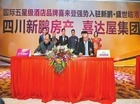 喜来登入驻新鹏·盛世临港 树川南新标杆