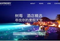 树莓酒店精选布局旅游细分市场
