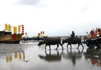 盛夏时节 锦江之星为您推荐玩转如东全攻略