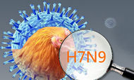 方世宏：H7N9之下的餐饮业路在何方
