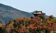 2014年中国公民出境（城市）旅游消费市场调查