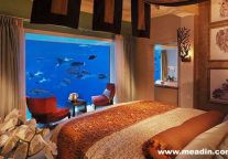 The future of hotels and emerging destinations.