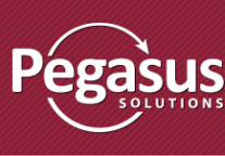 Pegasus Names Scott Gibson Chief Executive Officer