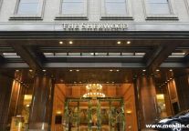 Taipei luxury hotel criticised for serving rabbit meat