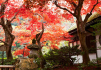 Starwood to bring Luxury Collection to Kyoto, Japan