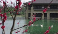 迎合客户需求 杭州良渚君澜力争“零差评”