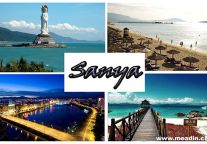 Regional Hotel Comment Index Analysis Report of Sanya Area in January, 2015