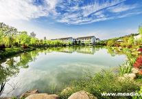 Leisurely strolling and Mind-Purifying in Wuxi