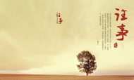 李晓萍：那些年，我也有过神话和传说