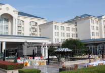 金陵连锁苏州金陵观园国际酒店上演森系主题婚礼秀