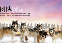 冉龙福：单体酒店如何通过培训打造团队竞争力