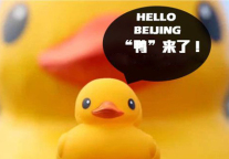 袁学娅:从大黄鸭到接吻树，谈酒店经营创新