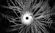 Hotel Six Security Hang-ups: Beware the Black Holes