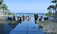 2014年中国旅游业统计公报