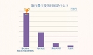 旅行怀孕幸福度调研报告