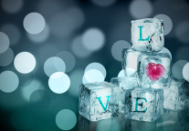 美豪酒店：用爱浇灌的服务更动人