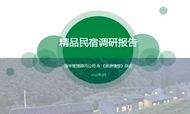 2016精品民宿调研报告