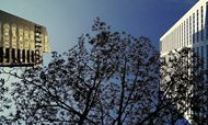 Hilton plans 206 hotels in China of total 266 in Asia-Pacific