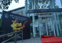 水意書象丨锦江都城艺空间“书花怒放”