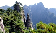 2015年度黄山旅游数据报告