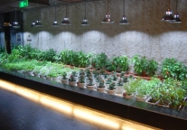 雅高实施"21世纪地球"项目 保护人与环境