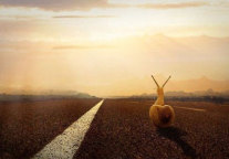 什么是长租公寓迈不过的那道坎？