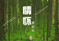 情怀已被玩儿坏 民宿能走多远?