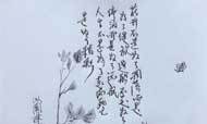 老林圆珠笔画 :目的