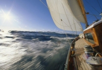 美豪酒店：只有“中国”的才能成为世界的