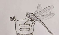 老林圆珠笔画：热