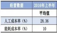 2016年上半年酒店员工与能耗成本分析