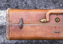 一只单身汪在美豪的奇遇