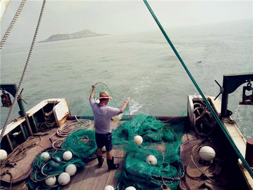 出海捕鱼捕鱼大丰收前童三宝,舟山的海鲜,地方特色菜更是不得不尝的