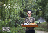 “金陵”成功跃入世界酒店40强