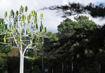 种一颗树就能发电 我要去开家孤岛民宿