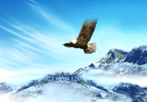 一周新任命：6位酒店经理 4位行政总厨