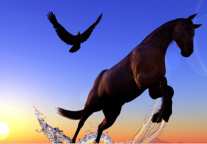 一周任命：25位酒店高管强势来袭 孙坚领衔