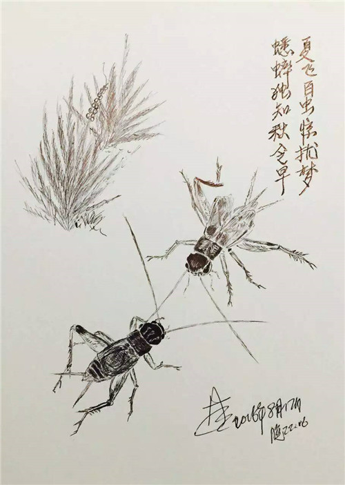老林圆珠笔画:蟋蟀