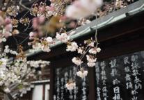 旅行是数学题 人工智能扮演什么角色