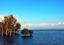 国庆黄金周福利 诗莉莉一马当先为节日献礼