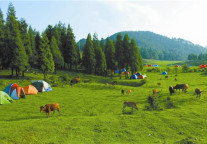 余昌国：做到这“五原” 乡村旅游转型就不难