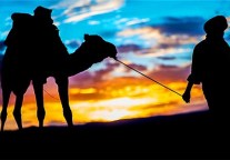 去哪儿公布人事调整 张强晋升为总裁